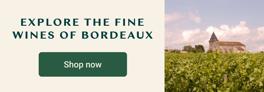 Explore the fine wines of Bordeaux