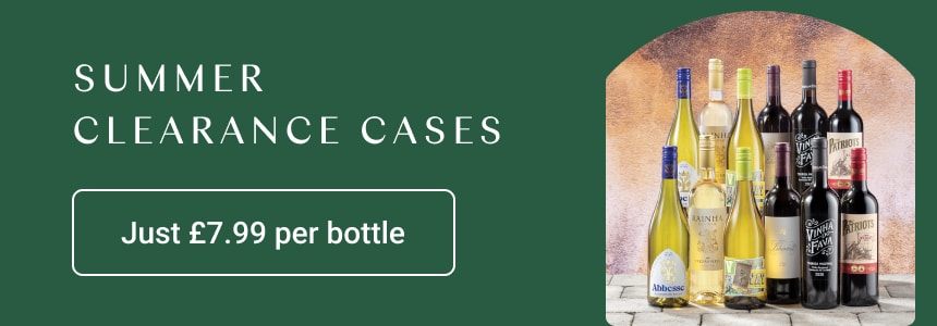Summer Clearance Cases