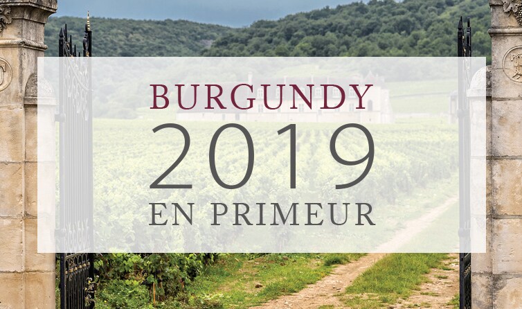 Burgundy 2019 En Primeur