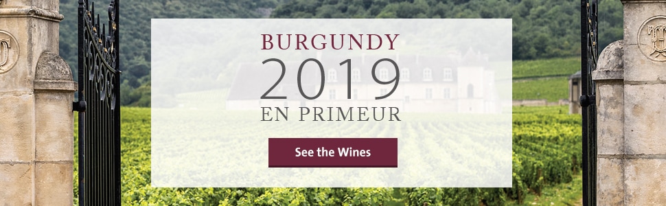 Burgundy 2019 En Primeur