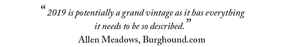 2019 is potentially a grand vintage as it has everything it needs to be so described - Allen Meadows, Burghound.com
