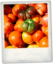 Food and Wine Matching: Tomatoes