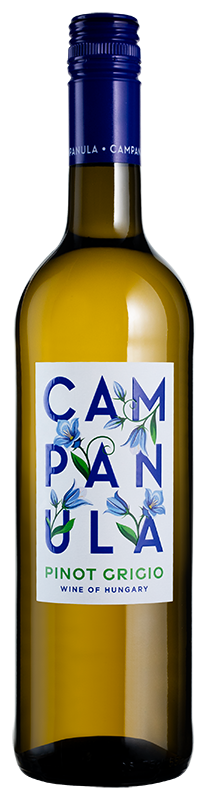 Campanula Pinot Grigio 2025 Campanula Pinot Grigio 2025