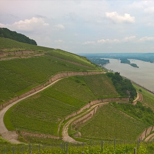 Averys Aromatics Cellar Tasting - Wed 27th July 2022 Averys Aromatics Cellar Tasting - Wed 27th July 2022