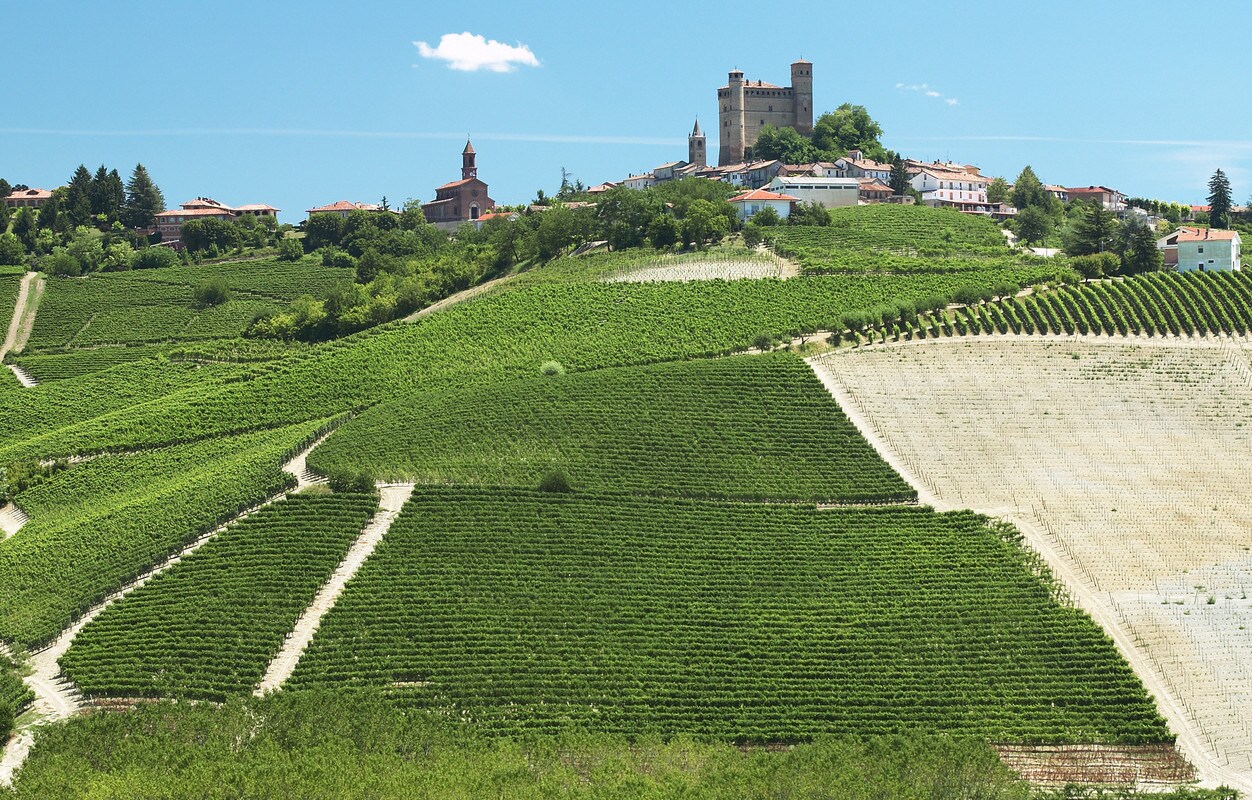 Averys Wines of Italy Cellar Tasting - Wed 22nd Feb 2023 