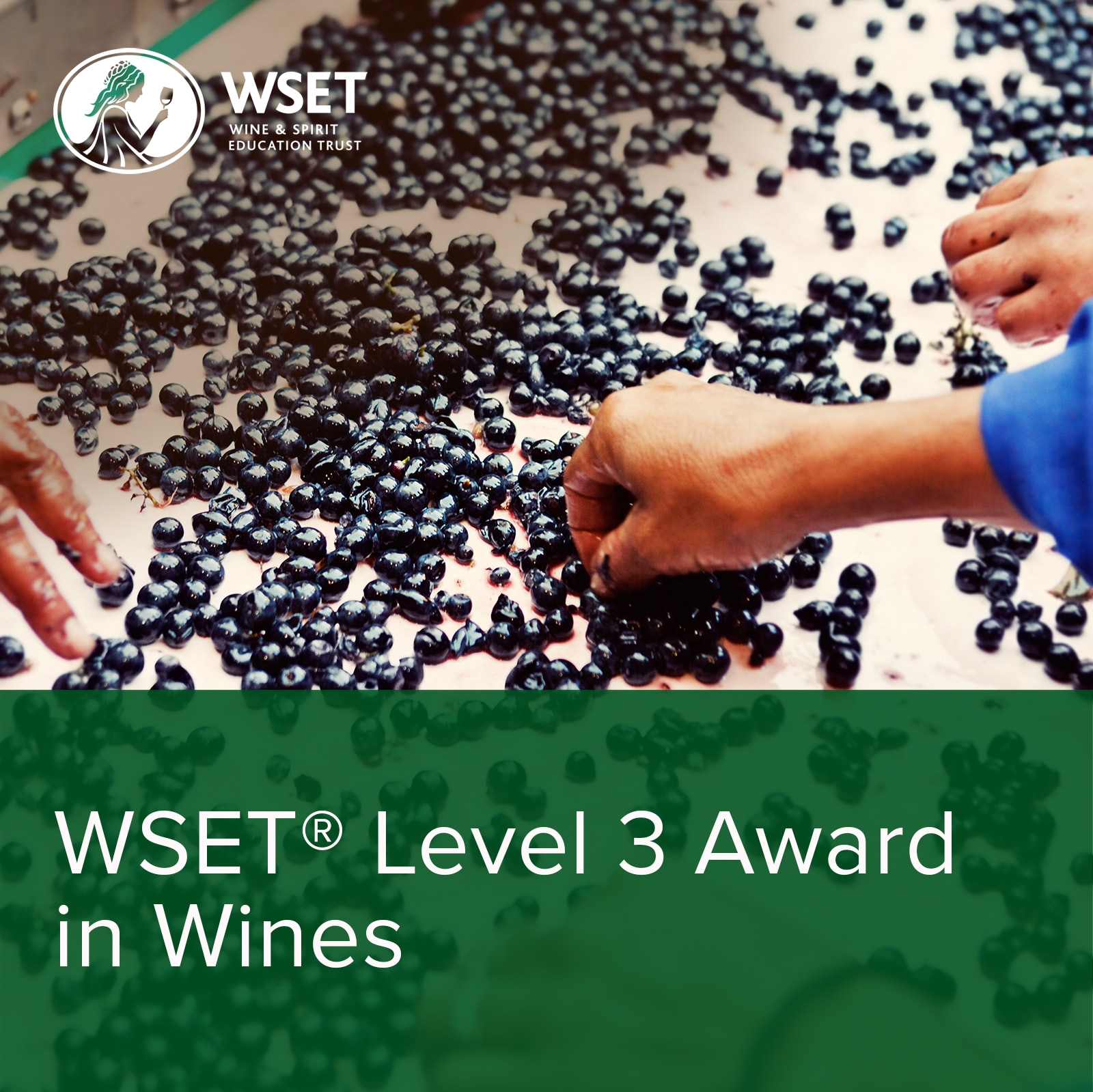 WSET Level 3 in Wines at Averys, Mon 4th Sept 2023 