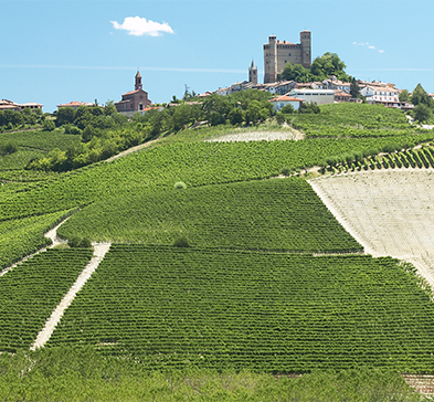 Averys Italy Highlights Cellar Tasting - Wednesday 25th October 2023