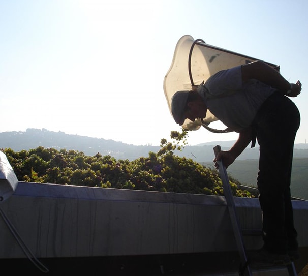 Averys Off The Beaten Track Cellar Tasting - Friday 8th of May 2026 