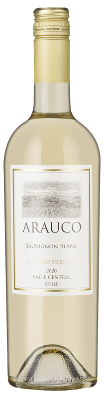 Arauco Vineyard Selection Sauvignon Blanc 2020