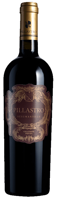 Pillastro Susumaniello 2023 Pillastro Susumaniello 2023