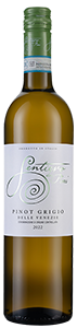 Sentiero dei Pini Pinot Grigio 2022