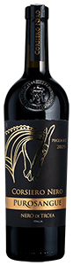 Corsiero Nero Purosangue