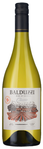 Balduzzi Classic Chardonnay 2019