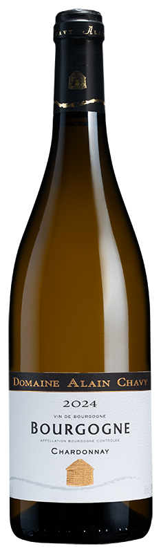 Domaine Alain Chavy Bourgogne Blanc 2024