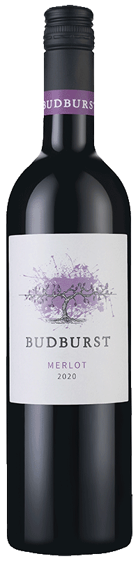 Budburst Merlot 2020