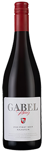 Gabel Pinot Noir Kalkstein Pfalz 2020
