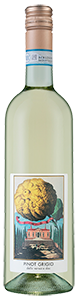 Lima Dorata Pinot Grigio 2021