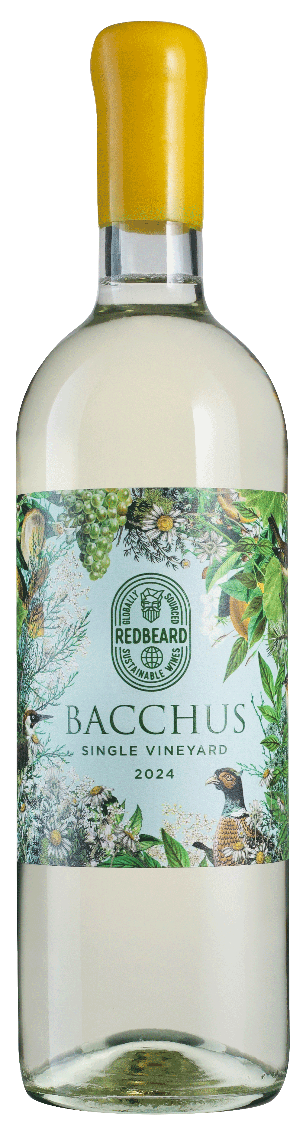 Redbeard Bacchus 2024 Redbeard Bacchus 2024