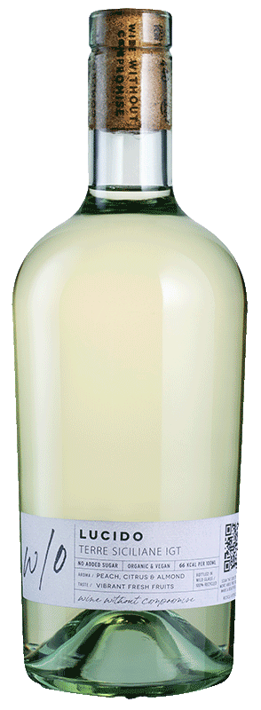w/o Organic Lucido 2024 w/o Organic Lucido 2024
