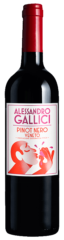 Alessandro Gallici Pinot Nero Alessandro Gallici Pinot Nero