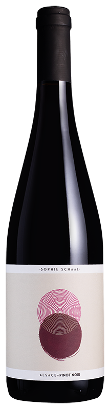 Sophie Schaal Organic Pinot Noir 2024