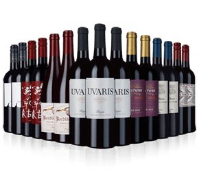 Wine Rack Essentials 15 bottle reds case