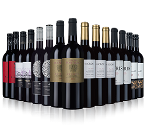 Wine Rack Essentials 15-bottle reds case