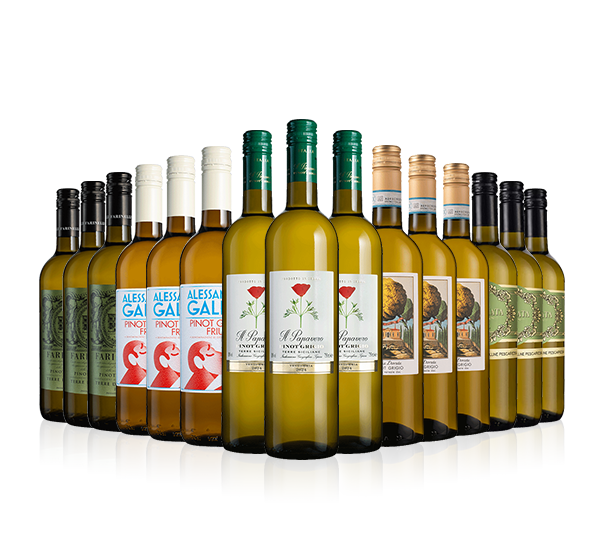 Pinot Grigio 15-bottle Showcase