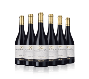 Un Vent de Folie 100+ 2022 with 6-bottle Vineyard Partner Subscription