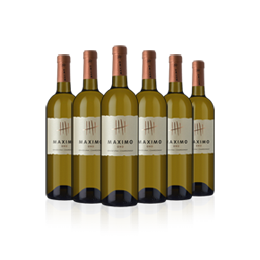 Maximo Oro 2018 Maximo Oro 2018