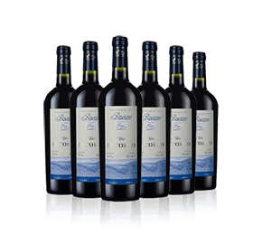 Vigna Il Corto 2021 with 6-bottle Vineyard Partner Subscription