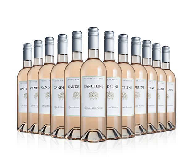 Candeline Rose Unlimited Offer