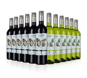 The Ecologico Collection 
