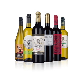 Flavours of Spain 6-bottle Mixed Showcase