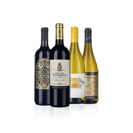 Bordeaux & Rioja 4-bottle taster case 