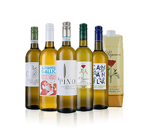 Pinot Grigio Sale Six 