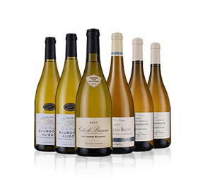 White Burgundy Showcase