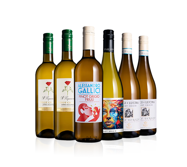 Pinot Grigio Six