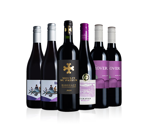 Merlot Six Merlot Six
