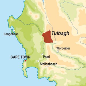 Country Map